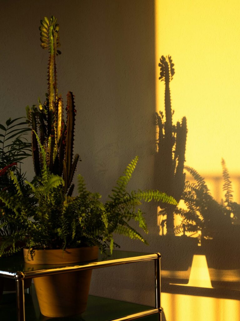 pascal-meier-UxeEAKH-Pdo-unsplash