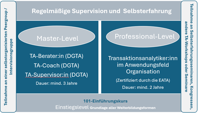 Grafik mit zwei Ebenen: Master-Level mit TA-Berater:in, TA-Coach, TA-Supervisor:in (mindestens 3 Jahre) und Professional-Level mit Transaktionsanalytiker:in im Anwendungsfeld Organisation (mindestens 2 Jahre). Unten steht '101-Einführungskurs' als Grundlage aller Weiterbildungsformen.